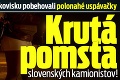 Po parkovisku pobehovali polonahé uspávačky: Krutá pomsta slovenských kamionistov!