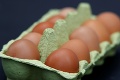 Odstrašujúce výsledky hygienikov: Z jedovatých vajec sa v luxusných hoteloch použilo až pol tony