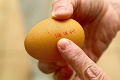 Poplach v Bratislave: Jedovaté vajcia našli v luxusných hoteloch!