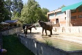 Horúčavy poľavili, no nie nadlho: Pozrite sa, aké cifry budú už o dva dni!