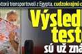 Má Ellie, ktorú transportovali z Egypta, cudzokrajnú chorobu? Výsledky testov sú už známe!