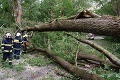 Maďarsko potrápila víchrica: Vyvracala stromy