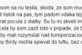 Festival v Čechách nezvládol organizáciu, ľudia kolabovali pred vstupom: Najzúfalejšie komentáre Slovákov!