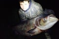 Rybárovi na bratislavskom jazere zabrala návnada: Že chytí práve TOTO, nedúfal ani vo sne!