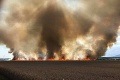 Požiar pri Topoľčiankach: Okoloidúcich vystrašil veľký dym, čo horelo v strede poľa?