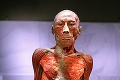Číňan sa obul do Body The Exhibition v Prahe: Prišiel na výstavu a uvidel tam telo svojho brata