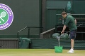 Makajú, keď ostatní ešte spinkajú: Aha, čím sa umýva tráva na Wimbledone!