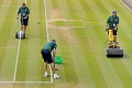 Makajú, keď ostatní ešte spinkajú: Aha, čím sa umýva tráva na Wimbledone!