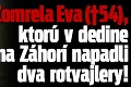 Zomrela Eva († 53), ktorú v dedine na Záhorí napadli dva rozzúrené rotvajlery!