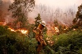 Taliansko sužuje rekordný počet lesných požiarov: Dym stúpa aj z okolia sopky Vezuv