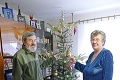 Šikovný záhradkár Anton: Vymyslel kuriózny spôsob, ako si vypestovať nekonečný vianočný stromček!