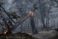 S požiarom na Záhorí bojovali hasiči viac ako deň: Od únavy padli do trávy pri ceste