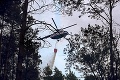 Požiar na Záhorí zničil 77 hektárov lesa: Na plamene zhodili tisíce litrov vody!