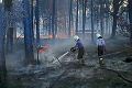 Požiar na Záhorí zničil 77 hektárov lesa: Na plamene zhodili tisíce litrov vody!