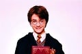 Filmová séria Harry Potter sa skončila a sovy naplnili útulky