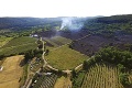 V Rači úradoval podpaľač: Obrovský požiar zničil 9 hektárov vinohradov, bude menej vína!