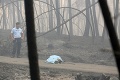 Lesné požiare v Portugalsku majú už 62 obetí: Vláda vyhlásila štátny smútok