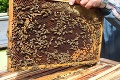 Gustáv vyrába med už 50 rokov, tohtoročná sezóna však zaskočila aj jeho: Pripravte sa na najhoršie!