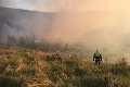 Na Kysuciach veľký požiar trávy a malých stromčekov: Zasahuje vyše 30 hasičov!