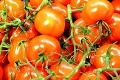 Prečo rajčiny zo skleníka nechutia tak dobre? Chýba im to, čo robia pestovatelia marihuany!