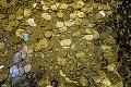 Takto sa v Kremnici razia mince pre celý svet: 700 za minútu pod  tlakom 150 ton!