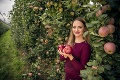 Slovensko má úžasné jablká, ale sady strácame: V čom je problém?