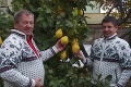 Malý voňavý zázrak málokto pozná: Ovocie, ktoré miluje teplo, Juraj vypestoval pod Tatrami!