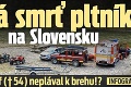 Prvá smrť pltníka na Slovensku: Prečo Jozef († 54) neplával k brehu!?