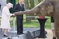 Kráľovná s princom Philipom v zoo: Nechytaj Alžbetu za chobot!