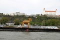 Slováci zostali v údive: Obrovský kozel priplával po Dunaji