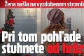 Žena našla na vyzdobenom stromčeku niečo desivé: Pri tom pohľade stuhnete od hrôzy!