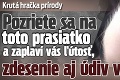 Krutá hračka prírody: Pozriete sa na toto prasiatko a zaplaví vás ľútosť, zdesenie aj údiv v jednom