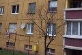 Školáčka sa v Michalovciach zrútila z 8. poschodia: Cez šachtu zletela až do pivnice!