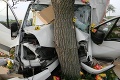 Smrteľná nehoda pri Šuranoch: Srbský šofér († 63) napálil s autom do stromu!