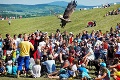 Kade chodí, tam sa vtákmi pýši: Tomu sa už povie slušná zbierka!