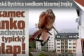 Považská Bystrica svedkom bizarnej trojky: A samec Janko sa zachoval ako typický chlap!