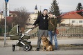 Obrovské rozdiely v daniach v Bratislave: V Petržalke platia za psa o 47 € viac ako v Záhorskej