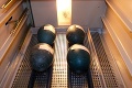 Inkubátory košickej zoo sa plnia obrovskými zelenými vajcami: Tušíte, čo z nich o 2 mesiace vylezie?