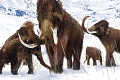 Na území obce pri Piešťanoch žili lovci mamutov už pred 40 000 rokmi: Vzácny objav spájajú so vznikom Moravianskej venuše