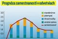 Optimistické vízie vládnych analytikov: V roku 2017 sa bude Slovákom žiť najlepšie!