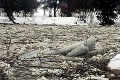 Ľadové kryhy upchávajú Ubľanku: Hladina rieky dramaticky klesá!