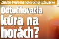 Známe tváre na novoročnej lyžovačke: Odtučňovacia kúra na horách?