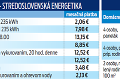 Fico po škandále rozhodol, šéf regulačného úradu stiahol chvost: Energie pôjdu dole, Holjenčík ostáva hore!