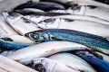 Koľko rýb a morských príšer zjedia Slováci