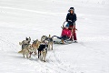 Na Slovensko sa rútia kruté mrazy: SHMÚ tieto okresy varuje 1. stupňom výstrahy!