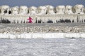 Jedinečný prírodný úkaz: Pri bulharskom pobreží zamrzlo Čierne more!