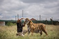 Kvôli šelmám sa vzdali aj domova: Zistíte, koľko na ne za týždeň minú, bude vám nevoľno!