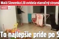 Malá Slovenka Lili uvidela vianočný stromček prvýkrát v živote: To najlepšie príde po 5. sekunde!