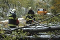 Na severe Slovenska vyčíňal víchor: Vyvrátené stromy aj poškodené strechy!