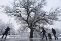 Kalamita v Poľsku: Sneh spôsobil rozsiahle výpadky prúdu, dvaja ľudia umrzli!